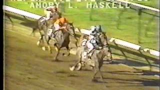 Spectacular Bid vs Glorious Song  1980 Amory L Haskell Handicap [upl. by Ube984]