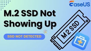 M2 SSD Not Showing Up or Detected in Windows 1110 Fixed Now [upl. by Erdnoed]