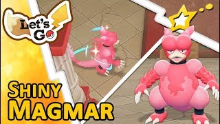 LIVE The Saga of SHINY MAGMAR SO MANY EXTRA SHINIES  MUCH RAGE  CLUTCH CAPTURE Pokemon LGPE [upl. by Richara]