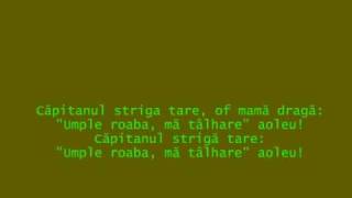 Sa votat Codu Penal  Valeriu Sterian [upl. by Akihdar893]