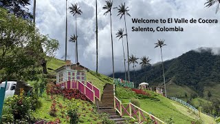 Valle de Cocora  Cocora Valley  Salento Quindio Colombia [upl. by Urbas68]