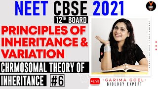 Chromosomal Theory of Inheritance  Principles of Inheritance and Variation Class 12 P6  NEET 2021 [upl. by Ameerak]