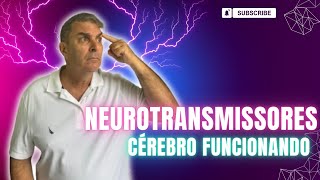 Neurotransmissores Dr Nelson Marques [upl. by Culley420]