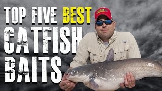 Top 5 Best Catfish Baits Made Simple  Blue Channel Flathead Catfish [upl. by Nilesoj]