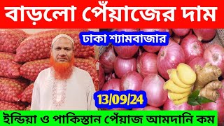 130924 আজকের বাজারে পেঁয়াজ দাম  How to start onion business and earn money  earn money Online [upl. by Repinuj]