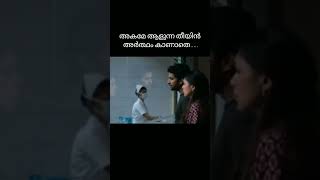 🎶HI NANA SONG 🎶 hinana nani mrunalthakur lyrics tamilsong malayalamsong ytshorts love [upl. by Ohcamac]