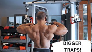 7 Best Exercises for BIGGER traps [upl. by Birk]