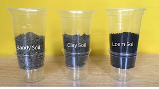 Types of Soil  Water Flow and Absorption Test  Sand Loam and Clay Soil [upl. by Yro]