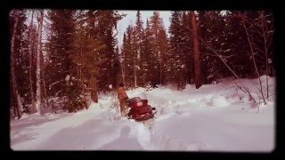 Brp skidoo Skandic swt 2016 и Yamaha [upl. by Tjaden182]