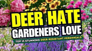 🦌🚫 DEER HATE GARDENERS LOVE Top 15 Stunning DeerResistant Perennials 🌸💥 [upl. by Eilitan]