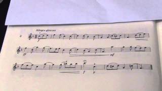 Violin Grade 5 Sight Reading No 2 Allegro giocoso [upl. by Lionello]