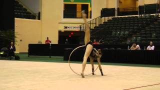 Jazzy Kerber  Hoop Finals  2013 US Rhythmic Championships [upl. by Brackely]