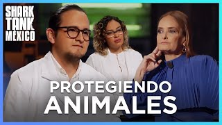 Contra la experimentación con animales en los laboratorios  Shark Tank México [upl. by Powell]