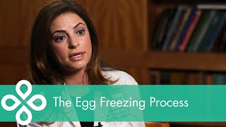 The Egg Freezing Process [upl. by Kinnon]