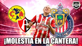 ¡OJO EN CHIVAS ¿MOLESTIA en la CANTERA DE CHIVAS por FICHAR JUGADORES de AMÉRICA y ATLAS [upl. by Euphemie]