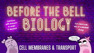 Cell Membranes and Transport Before the Bell Biology [upl. by Ainesey881]