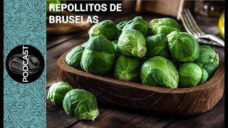 MITOS Y VERDADES SOBRE LOS REPOLLITOS DE BRUSELAS [upl. by Giacamo]