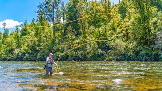 Fly Fishing for Big Backcountry Trout New Zealand [upl. by Jeralee]