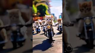 Cat 🐈 driving 😲 achi kar Rahe ha 🤔🧐 shortsfeed shortvideo shortsvideo shorts short cat cats [upl. by Notneiuq]