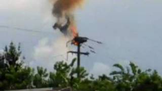 Powerline Nest Electrical Explosions [upl. by Gen]