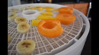 NESCO FD 1040 DEHYDRATOR REVIEW [upl. by Dosh]