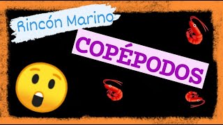 Copépodos en mi Acuario Marino [upl. by Reivaxe]