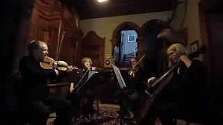 The Dunedin Quartet  Hans Zimmer  Time [upl. by Nirraj]