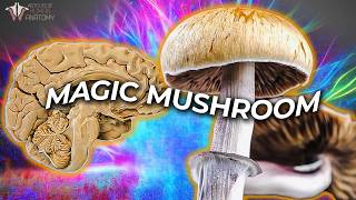 What Psilocybin Does to Your Brain  Can It Improve Mental Health [upl. by Oretos]