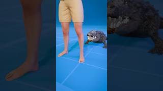 How To Escape An Alligator Death Roll 😨  Melon Playground alligator [upl. by Tshombe]