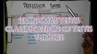 Testicular tumor Cancer  SEMINOMA and NON SEMINOMA  Pathology [upl. by Augie]