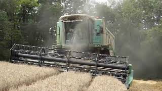 Fendt combine 6300 C AL  Moissonneuse batteuse ► Agrisscom  Blé [upl. by Leidgam]