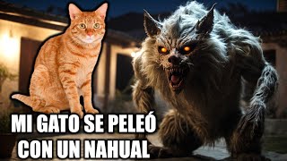 Mi Gato Peleó con un NAHUAL Historia Real de Suscriptor [upl. by Merideth949]