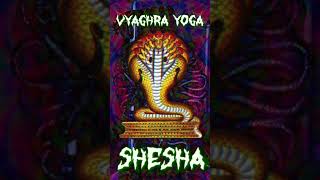 LORD SHESHA yoga tantra vishnu reptilian [upl. by Alverson]