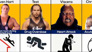 WWE Wrestlers Who Have Died [upl. by Akyssej896]