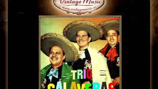 Trio Calaveras  El Hijo Desobediente Corrido VintageMusices [upl. by Kurtzig708]