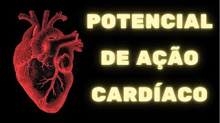 Potencial de ação cardíaco e contração do coração – Fisiologia Humana [upl. by Orozco]