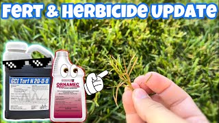 Fertilizer App amp Herbicide Bermuda Update [upl. by Cloris]