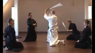 Musô Shinden Ryû Okuden Shihôgiri  DEMO [upl. by Dawna595]