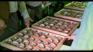 Professional Oyster Shucking Competitions  Documentary Clip [upl. by Einnov]