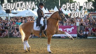 SKür Dressurhaflinger Amani  Equitana Open Air 2018 [upl. by Yrahca961]