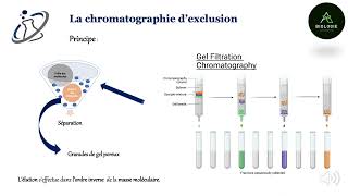 La chromatographie dexclusion [upl. by Fortunia]