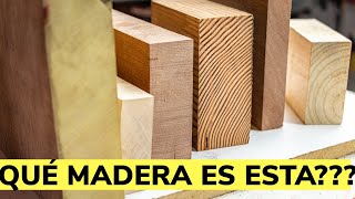 Cómo Identificar Los Tipos De Madera [upl. by Johst]