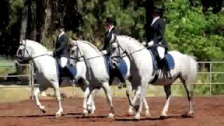 White Horse Vale Lipizzans  Slideshow [upl. by Alrad440]