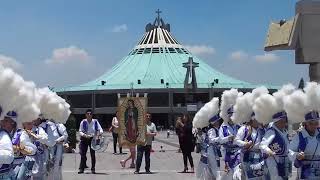 Matachines María Causa de Nuestra Alegria en la Basilica de Guadalupe [upl. by Norel]