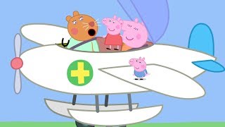 Świnka Peppa ✈️ Latający Weterynarz ✈️ Bajki Po Polsku  Peppa po Polsku [upl. by Rebor]