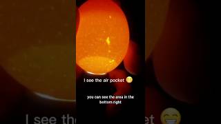 tiny egg 😱 hatching day3 trending viralvideo viralshorts youtube [upl. by Gothart]