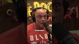 Rogan LOSES IT Over Trump Shooter [upl. by Gun423]