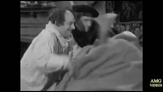 The Three Stooges 1 Movie CLIP  Angels 2012 HD Movie [upl. by Gazo]