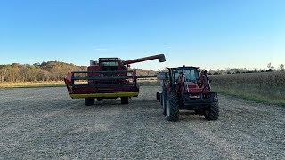 Harvesting soybeans [upl. by Edwin224]