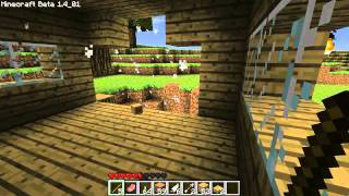 Minecraft  Form This Way Minecraft Parody of Lady Gagas Born This Way [upl. by Ennaeilsel887]